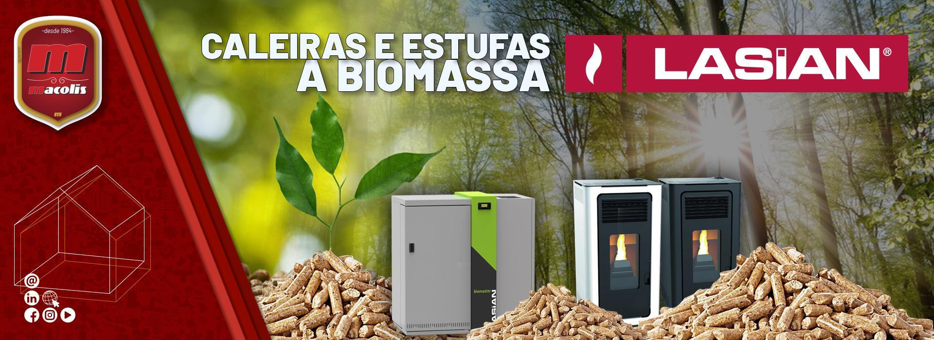 Caldeiras e Estufas Biomassa