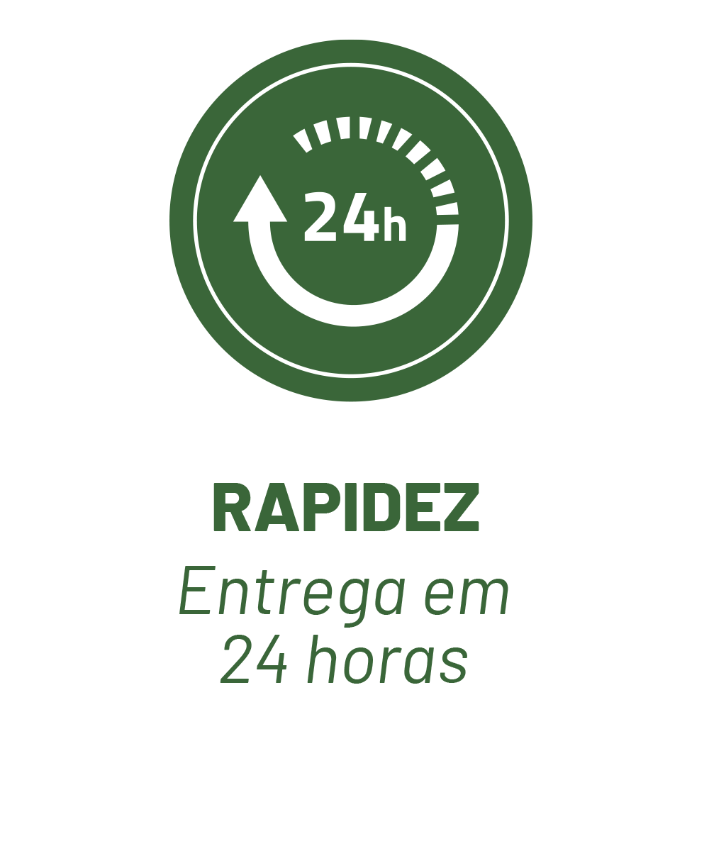 rapidez